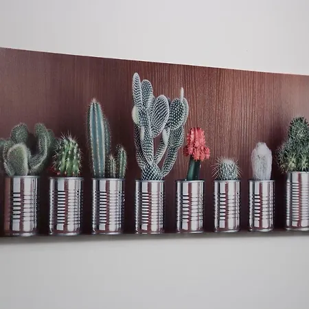 Apartman Angel's Sunset